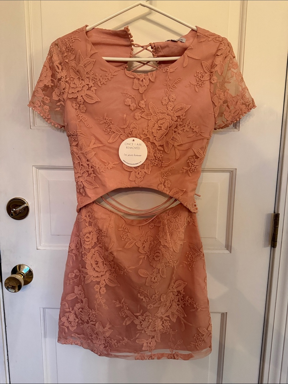 Twosisters Embroidered Cutout Short Dress in Dusty Rose NWT size 4